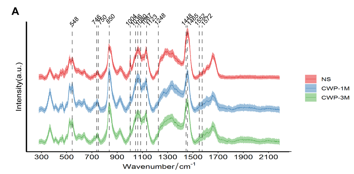 圖片1.png 圖片1.png