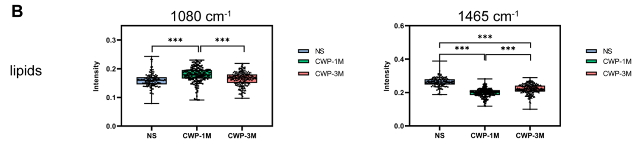 圖片3.png 圖片3.png